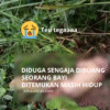 Bayi Perempuan Ditemukan di Hutan Karang Anyar, Diduga Sengaja Dibuang