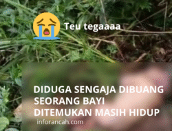 Bayi Perempuan Ditemukan di Hutan Karang Anyar, Diduga Sengaja Dibuang