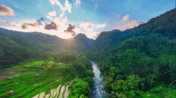 Menjelajahi Puncak Bangku, Negeri di Atas Awan Ranca Kota Ciamis